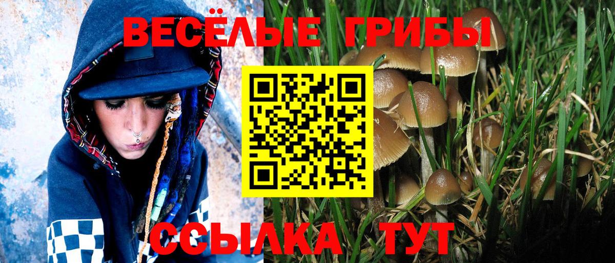 Котовск  Галлюциногенные грибы мухоморы  Псилоцибиновые грибы мицелий  Вход с VPN 
